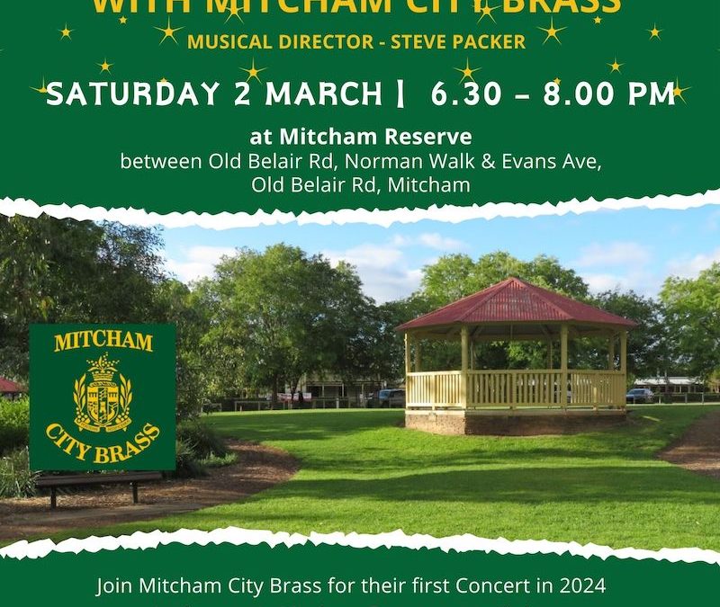 Twilight Tunes in the Park